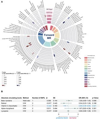 The association between diets and periodontitis: a bidirectional two-sample Mendelian randomization study